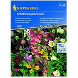 KIEPENKERL Profi-Line Mešana cvetlična semena Mešanica senčnega cvetja (Različne barve, 3 m² - 4 m²) | Shoptok.si