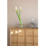 Zuiver Omarica iz masivnega jesena v naravni barvi 100x120x45 cm Raster – | Shoptok.si