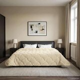  Poletna odeja krema 200 x 240 cm Mikrofibra in Teddy flis, (5000284367) | Shoptok.si