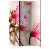  Paravan u 3 dijela - Branch of magnolia tree [Room Dividers] 135x172 Cijene
