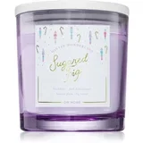 Winter Wonderland Sugared Fig dišeča sveča 510 g