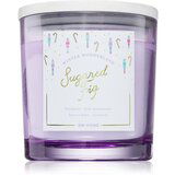 DW Home Winter Wonderland Sugared Fig mirisna svijeća 510 g | shoptok.hr