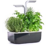  Veritable® SMART Soft Black Kučni Vrt | shoptok.hr