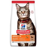 Hill’s suva hrana za odrasle mačke, jagnjetina, 10kg Cene
