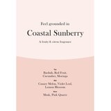 WoodWick Coastal Sunberry mirisna svijeća s drvenim fitiljem 85 g | shoptok.hr
