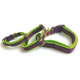 M Pets Ogrlica za pse Comfort S, Ljubičasto-zelena | Eponuda.com