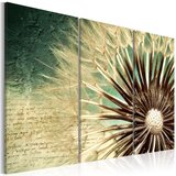  Slika - Transitory Beauty 120x80 Cijene