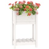  Sadilica s policom bijela 54 x 34 5 x 81 cm od masivne borovine | shoptok.hr