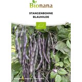 BIO fižol “Blauhilde” | Shoptok.si