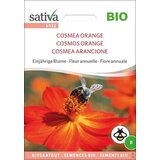 Sativa Ekološki enoletni cvet "Cosmea Orange" Cene