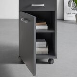 Mömax Predalnik Na Kolescih Caorle, Antracit | Shoptok.si
