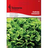 Semenarna Ljubljana Endivija "Eminence" - 8 g | Shoptok.si