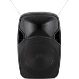 Sal Zvučnik,set,2xmikrofon,pojačalo,daljinski,11.1V baterija - PAB 31BT | shoptok.hr