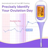 EASY@HOME pametni bazalni termometer | Shoptok.si