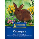 KIEPENKERL Velikonočna trava - 1 pkt. | Shoptok.si