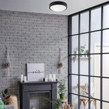  stropno svetlo jonas 1xE27/60W/230V prečnik 26 cm crna | Eponuda.com