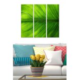 Wallity Set slika MDF2210973, 3 dijela | Eponuda.ba