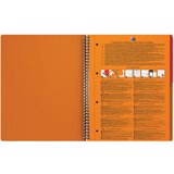 Blok KOLEGIJ A4 CRTE 80L PERFORACIJA PLUS 4RUPE ACTIVEBOOK OXFORD 100102994 | Shoptok.si