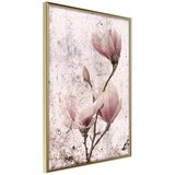  Poster - Queen of Spring Flowers II 20x30 Cijene