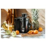 Adler AD4132 sokovnik 800W crni | ePonuda.com