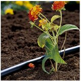 Gardena Končni kapljalnik Micro-Drip (pretok: 2 l/h, 10 kosov) | Shoptok.si