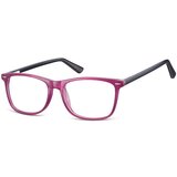 Berkley Berkeley naočare za kompjuter CP153 C Cene