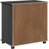  Mobilni ormar Siva 63,5 x 39 x 65,5 cm Čvrsto borovo drvo | shoptok.hr