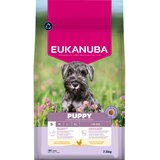 Eukanuba Premium Nutrition Puppy Small Breed piletina - 2 x 7,5 kg | shoptok.hr
