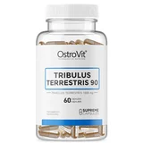 tribulus terrestris 90 1000mg 60 kapsula