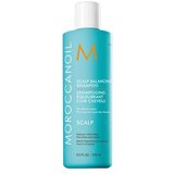 Moroccanoil scalp šampon 250ml | ePonuda.com