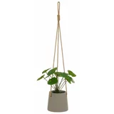 Casa Selección Umetna rastlina (višina 24 cm) Pilea –