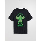 Sinsay Majica kratkih rukava Shrek | shoptok.hr