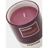 Sinsay Svijeća Pantone | shoptok.hr