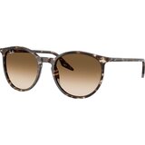 Ray-ban Naočare za sunce RB 2204 143151 Cene