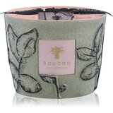 Baobab Collection Folia Maquis dišeča sveča 10 cm | Shoptok.si