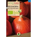 Samen Maier Bio buča, velikan, rdeči Kuri "Hokkaido" Cene