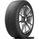Michelin 255/30R19 91W XL PILOT ALPIN 5 | shoptok.hr