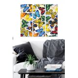 Wallity Set slika MDF71237321, 3 dijela | Eponuda.ba