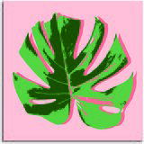 Pintdecor Zidni ukras Foglia pop Pintdecor Zidni ukras Foglia pop Slike