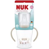 Nuk šolja za učenje 150 ml | Eponuda.com