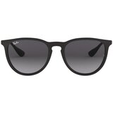 Ray-ban Sončna očala ERIKA 0RB4171 Črna | Shoptok.si
