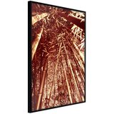  Poster - Asian Forest 40x60 Cijene