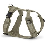 MiaCara Zeleni uprtač S dužina 30 cm Modena Grolive S – | shoptok.hr