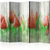  Paravan u 5 dijelova - Red tulips on wood II [Room Dividers] 225x172 Cijene