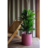 Artevasi Keramičen ročno poslikan okrasni cvetlični lonec ø 18 cm Fortuna – | Shoptok.si