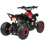 Ramiz Otroški štirikolesnik RENEGADE HIPERFECT 110CC rdeča | Shoptok.si