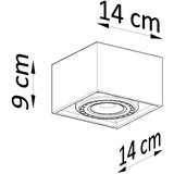Nice Lamps siva stropna svetilka 14x14 cm postiga – | Shoptok.si