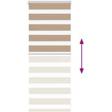 Zebra zavjesa Pješčano smeđa 60x100 cm Širina tkanine 55,9 cm Poliester | Shoptok.si