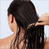 Living Proof Perfect Hair Day vlažilni balzam za vse tipe las 710 ml | Shoptok.si
