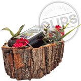  Kora Jakov S | ePonuda.com